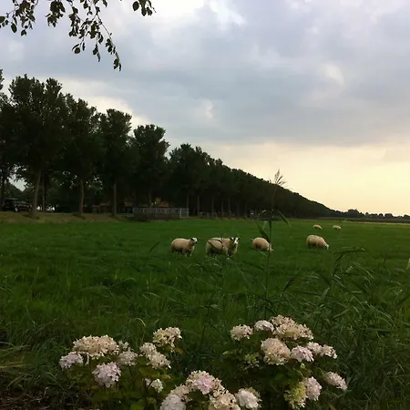 Jo's Semesterbostad *