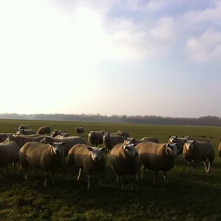 Jo's Semesterbostad Purmer