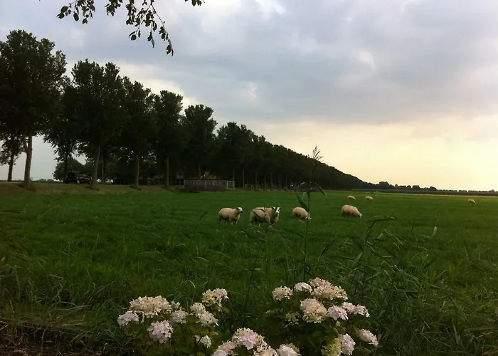 Jo's Hébergement de vacances *