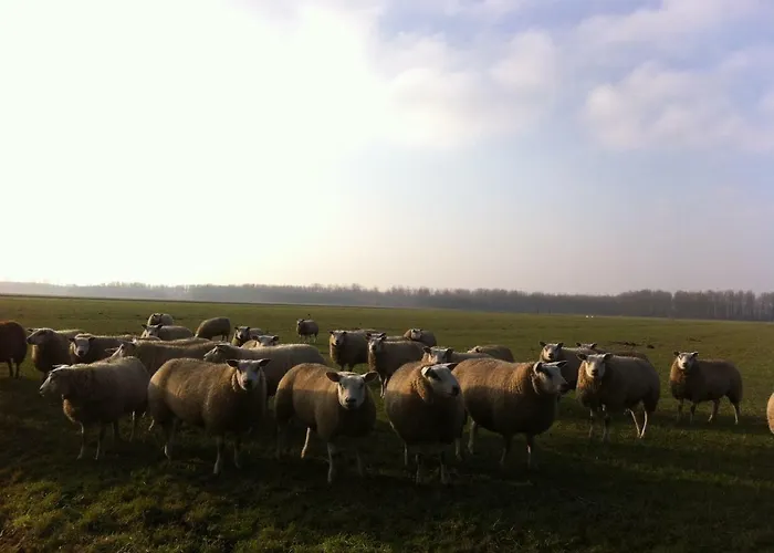 Jo's Hébergement de vacances Purmer