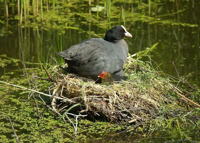 Jo's Hébergement de vacances
