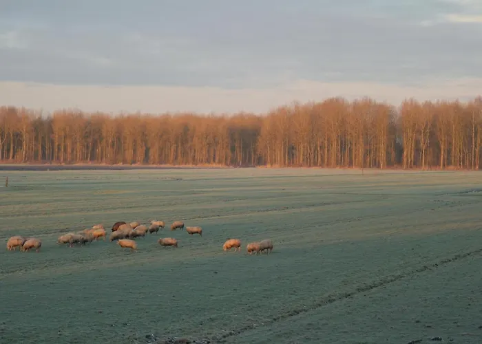 Hébergement de vacances Jo's *